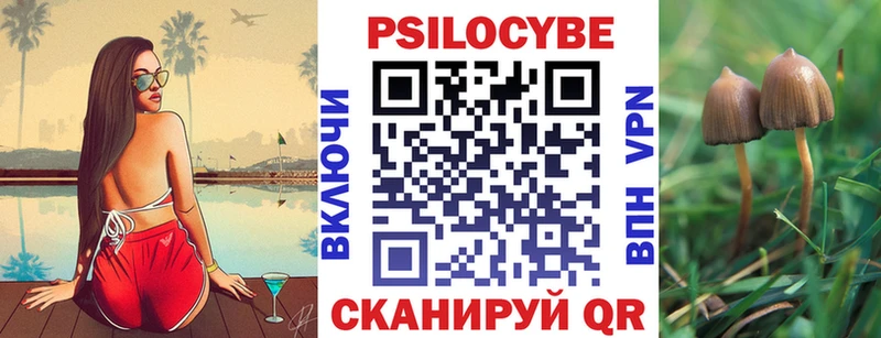 Псилоцибиновые грибы Magic Shrooms  blacksprut как войти  мориарти какой сайт  Комсомольск-на-Амуре 